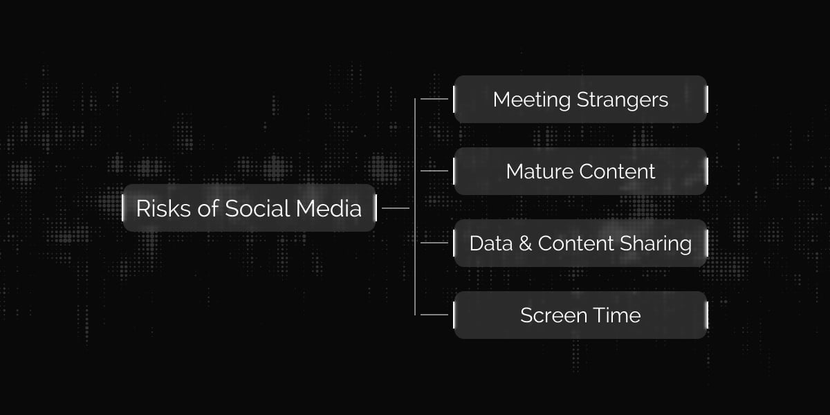 Diagram of social media risks