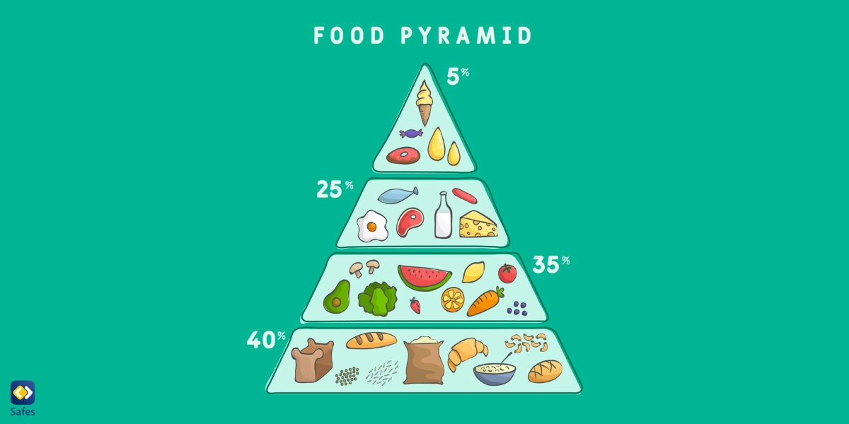 Food pyramid