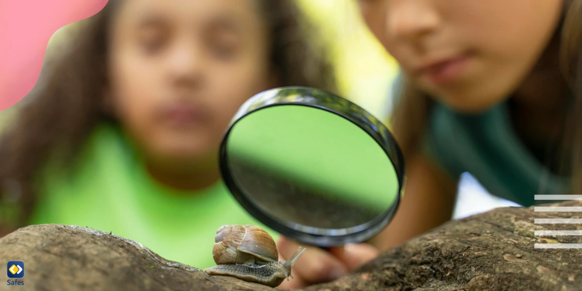 Children can develop their self-directed learning through everyday experiences